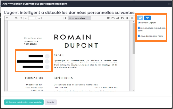 ../_images/IA-anonymiser-directement.png