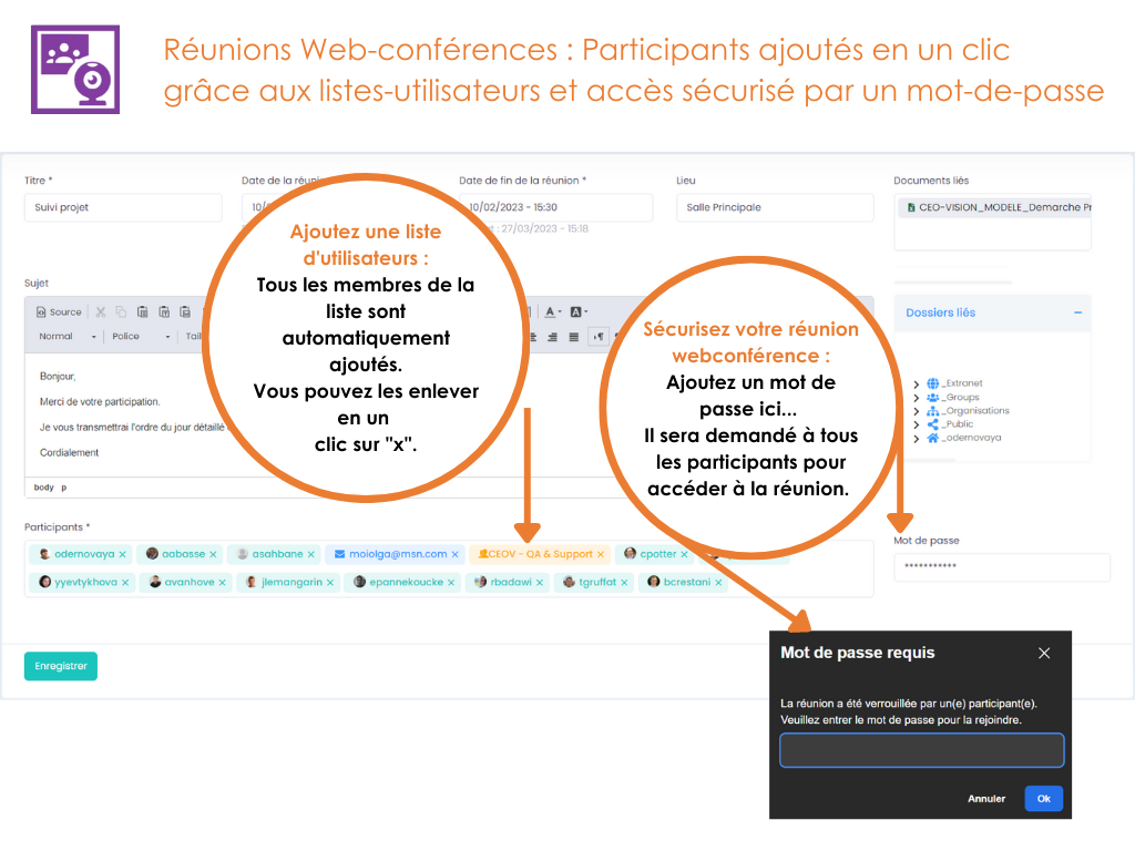 ../_images/webconference_exemple.png
